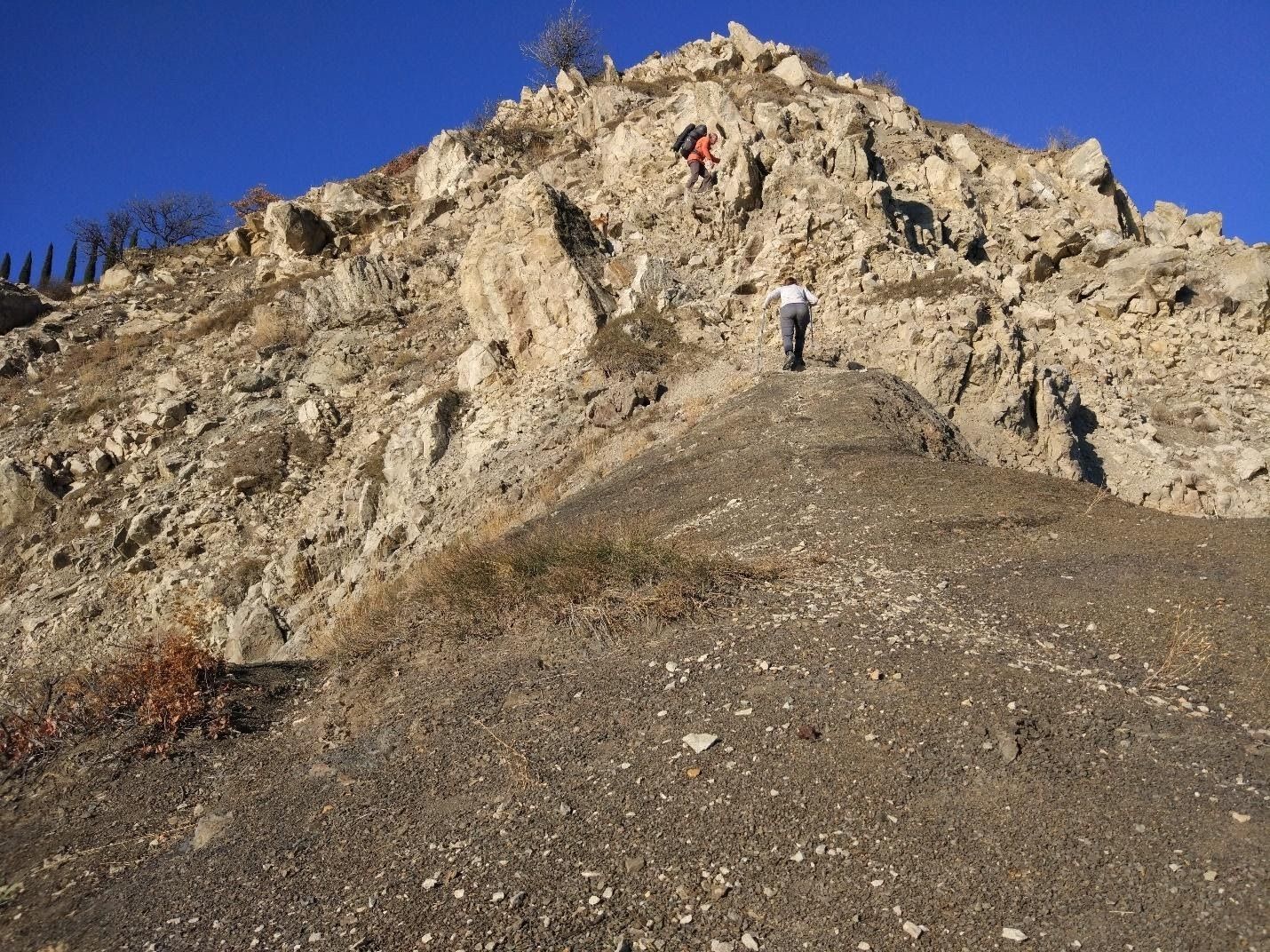 image10.jpg