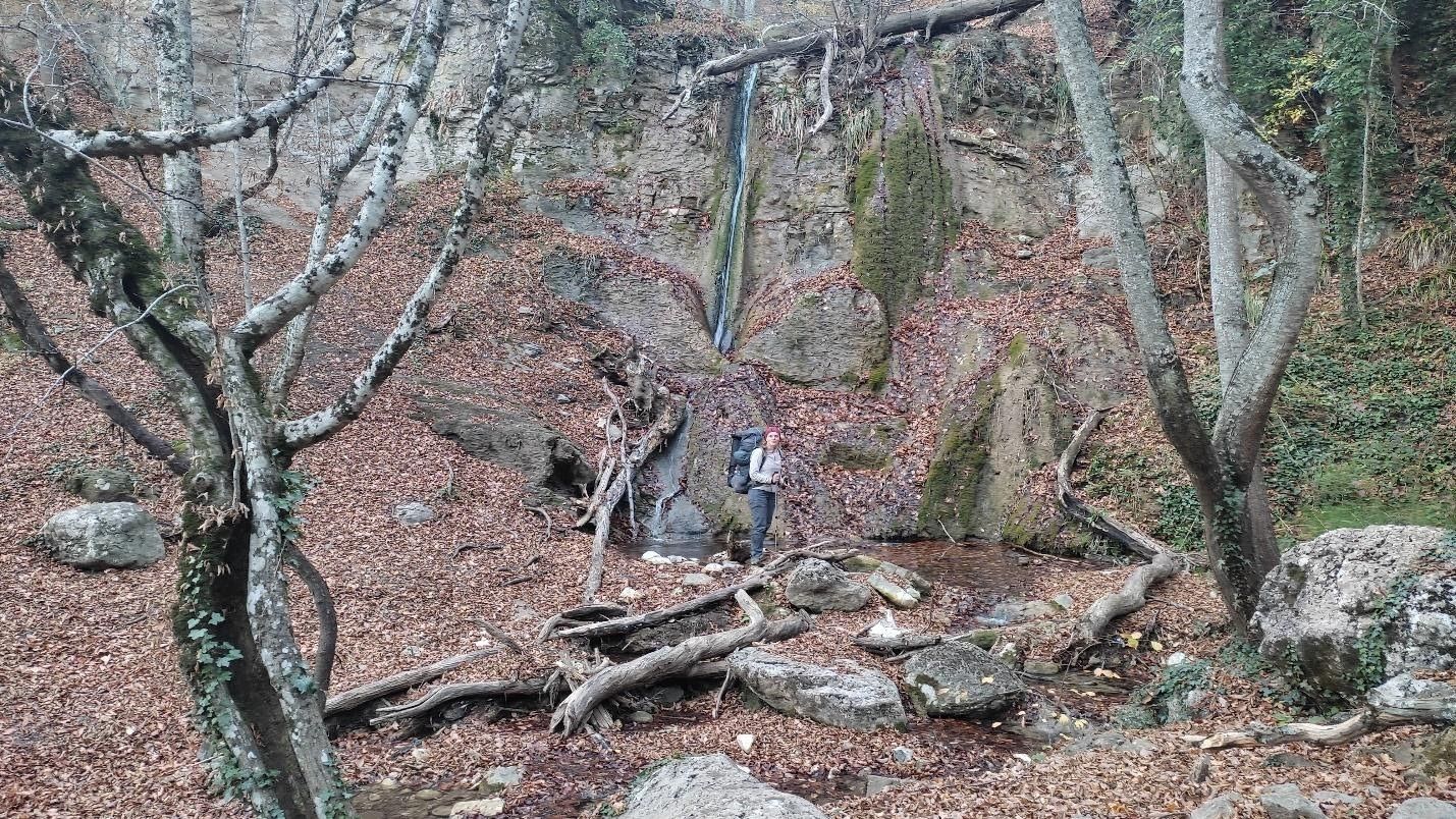 image39.jpg