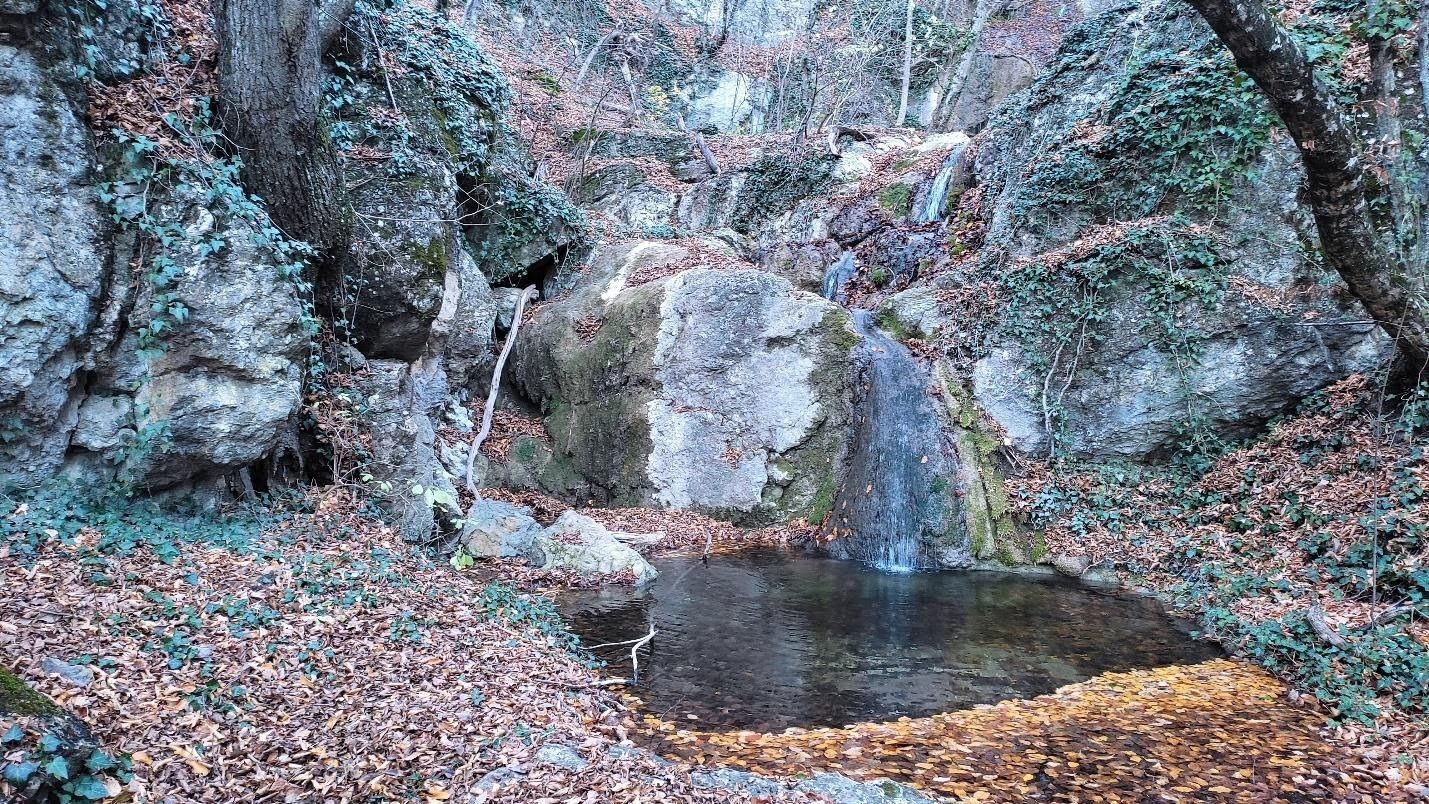 image42.jpg