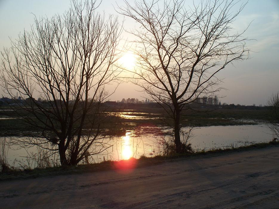 100_9206.jpg