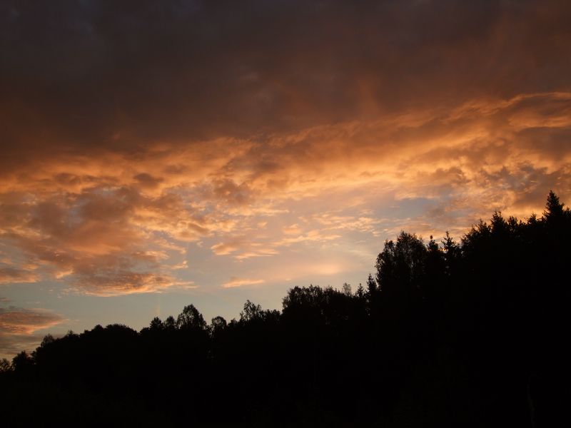 DSCF3819s.JPG