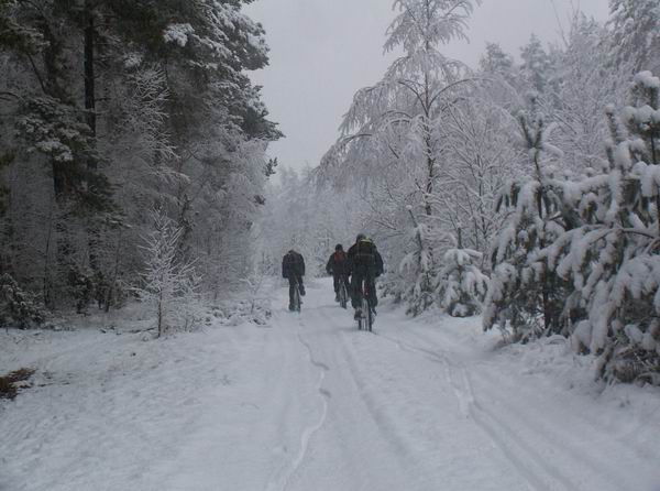 snow2.jpg