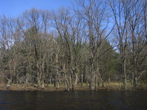 IMG_2756.jpg