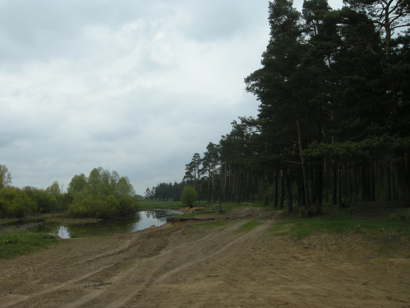 DSCN4666_resize.JPG