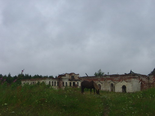IMG_0812.jpg