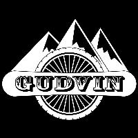 gudvin_alex
