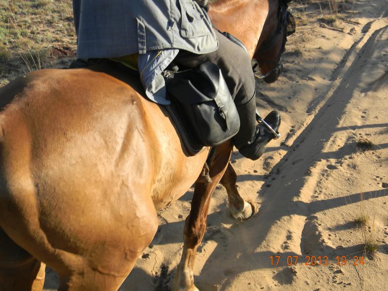 DSCN90750.jpg