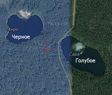 oz_2.jpg