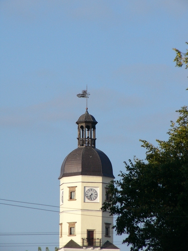 P1300424.JPG