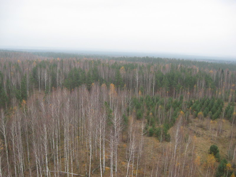 2008_11_02_17.jpg
