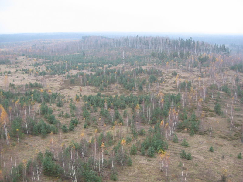 2008_11_02_19.jpg
