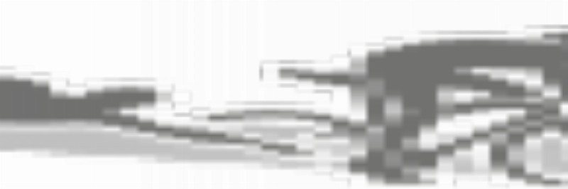 VIT_ok