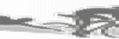 VIT_ok