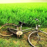 bikeboxd