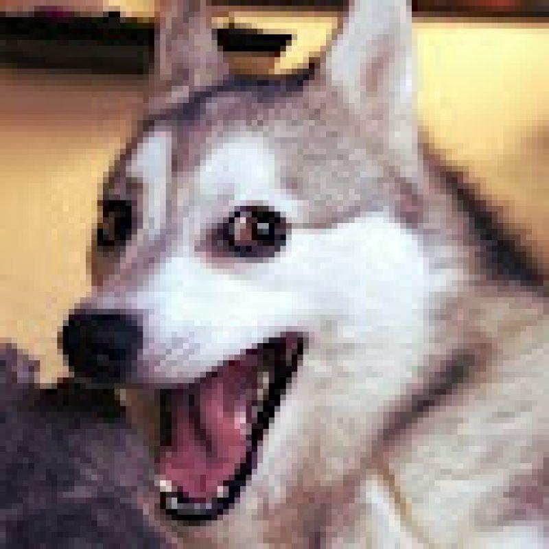5smpersec