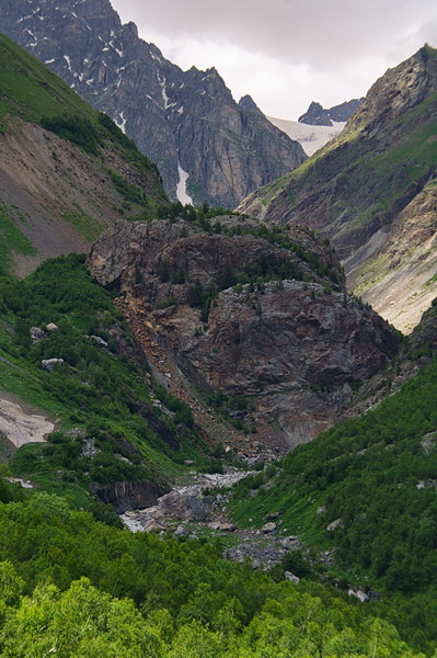 _DSC0430-.jpg