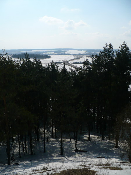 P10100691.jpg