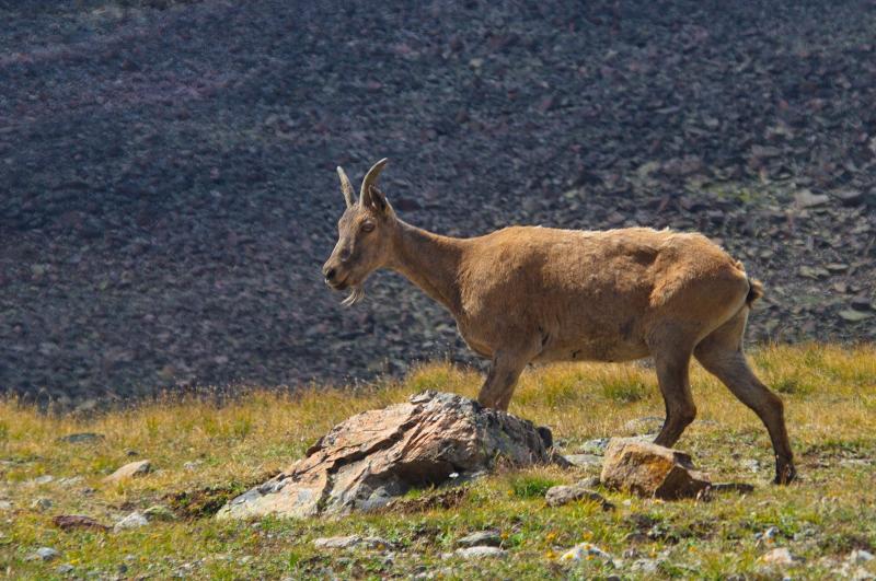 _DSC0079-.jpg
