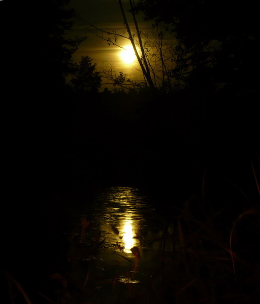 3uooaioaaiiaio.jpg