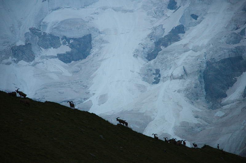 _DSC0204-.jpg