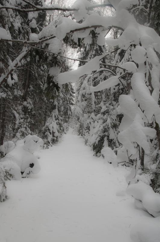 _DSC0109.jpg
