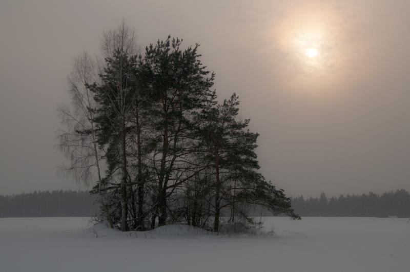 _DSC0116.jpg