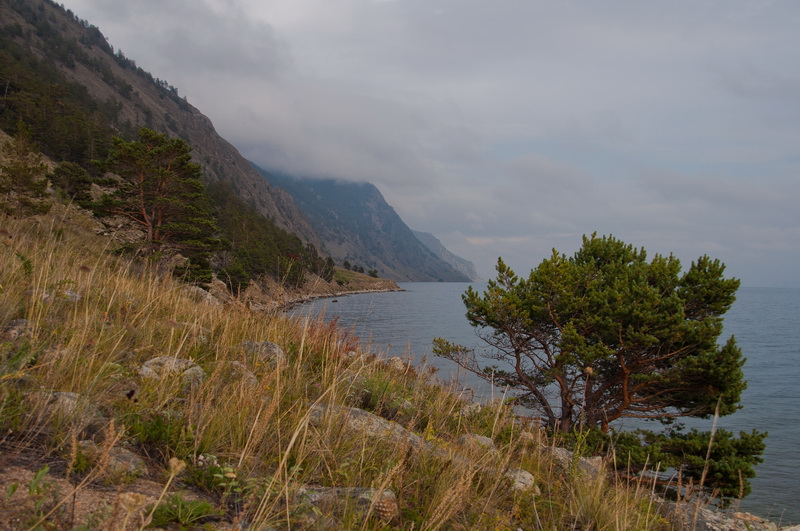 _DSC0504-.jpg