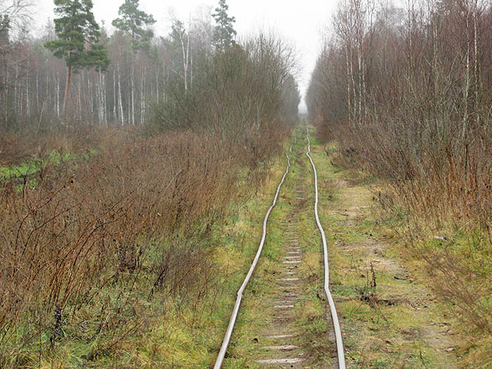 26-03.jpg