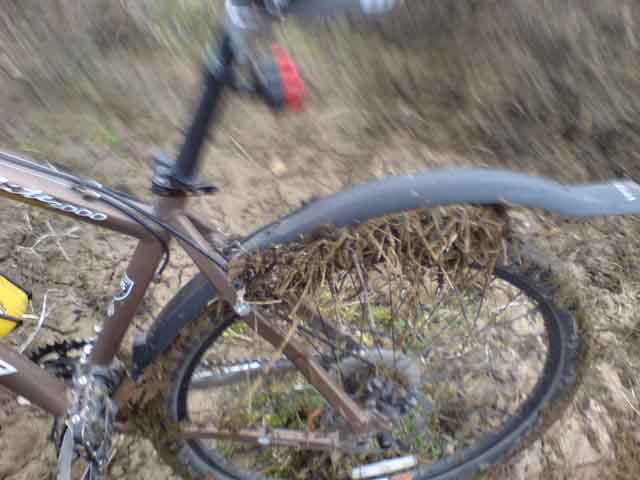 DSC00089_low.jpg