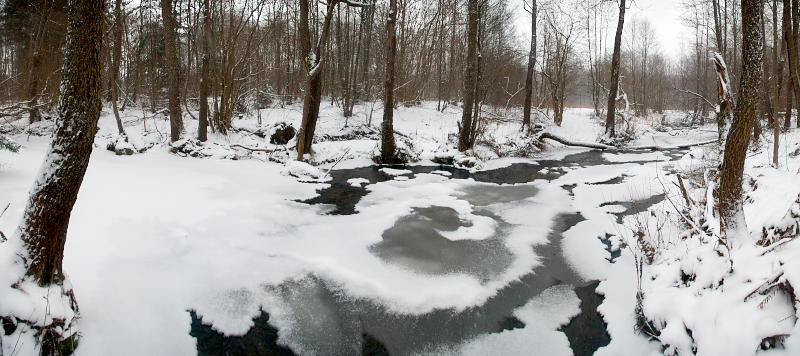 5706_-_17.02.2008_15-33-01.PANO.jpg