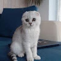 kasssppper
