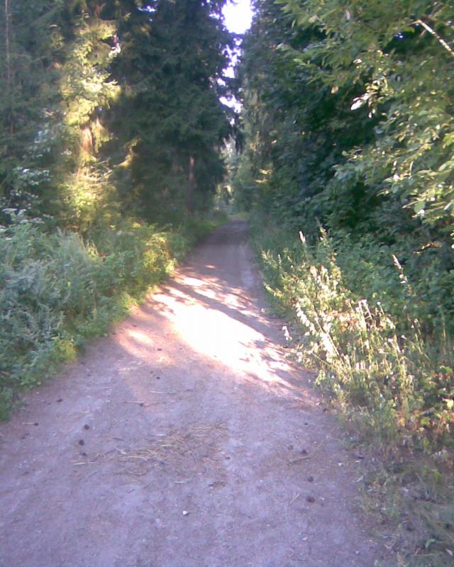 Image111.jpg
