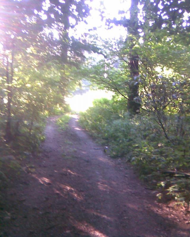 Image133_3.jpg