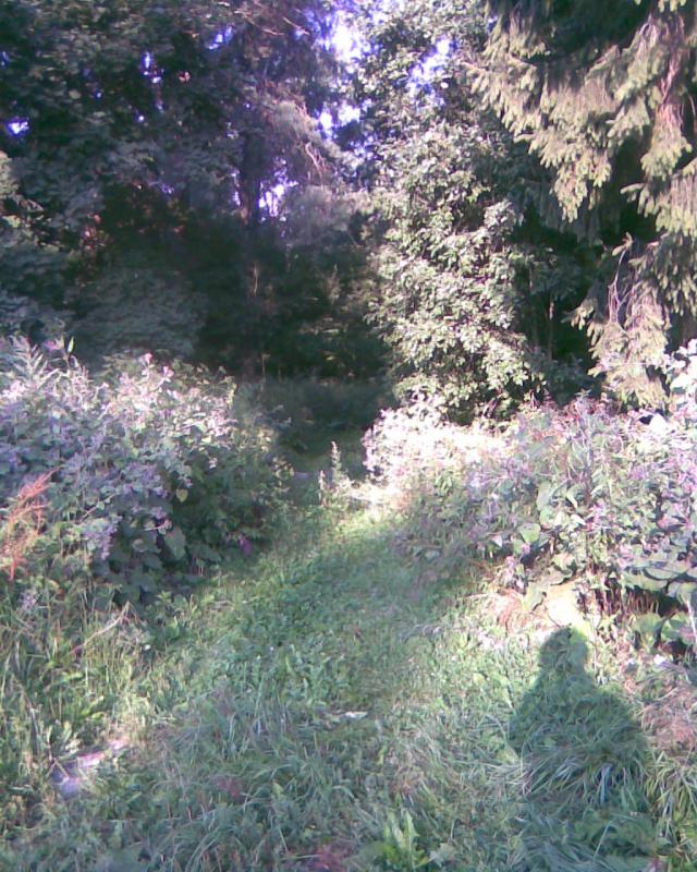Image135.jpg