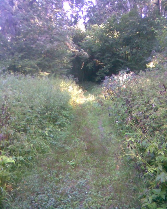 Image138_2.jpg