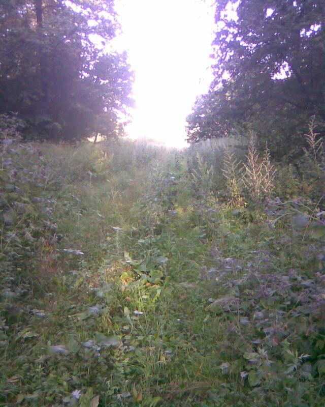 Image139.jpg