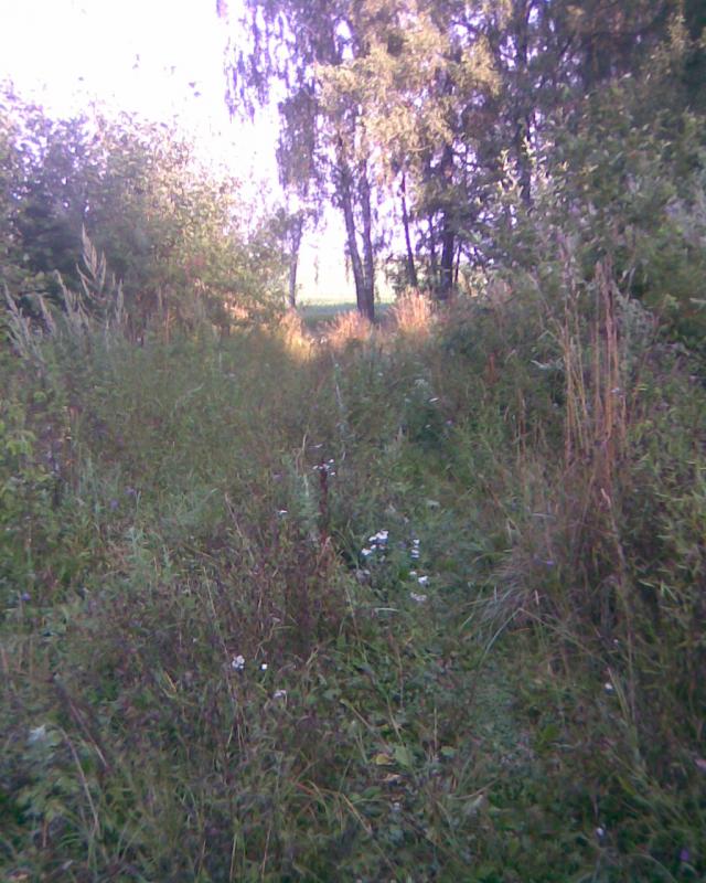 Image140.jpg