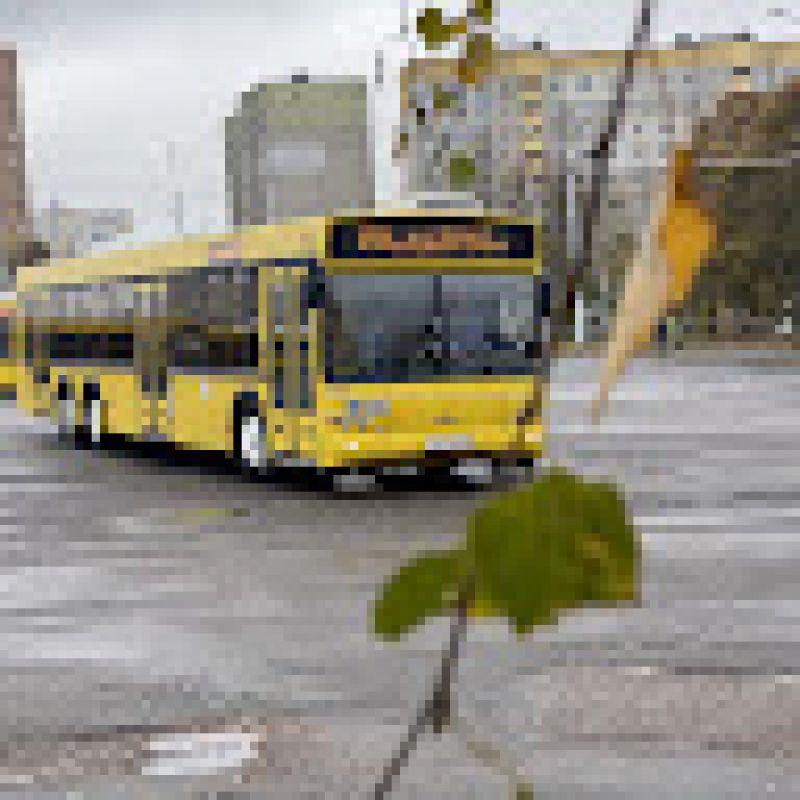 maks123456zhi