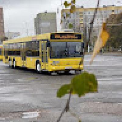 maks123456zhi