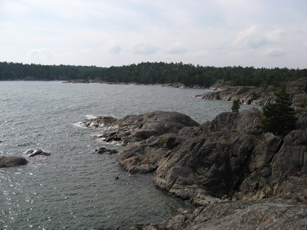 IMG_0211nunesam.jpg