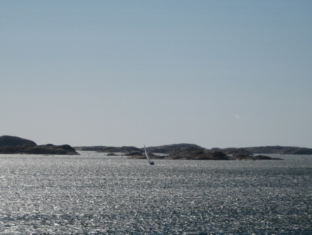 IMG_0344korablik.jpg