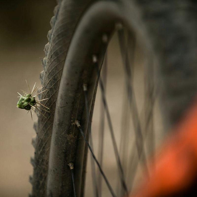 Bikegaiety