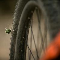 Bikegaiety