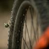 Bikegaiety