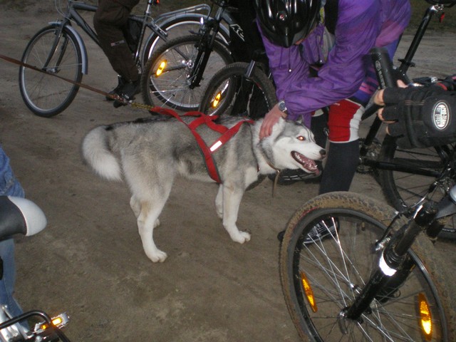 pok_27_10_006.jpg