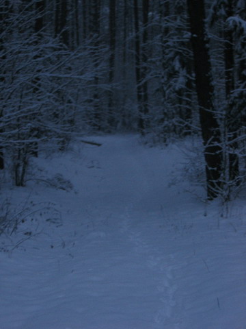 IMG_3163_resize.JPG