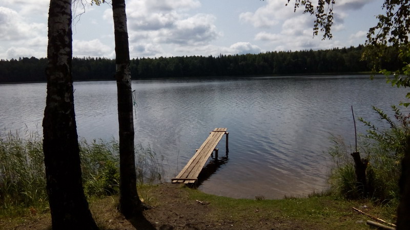 IMG_20150718_112456_resize.jpg