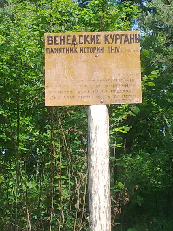 6_58.jpg