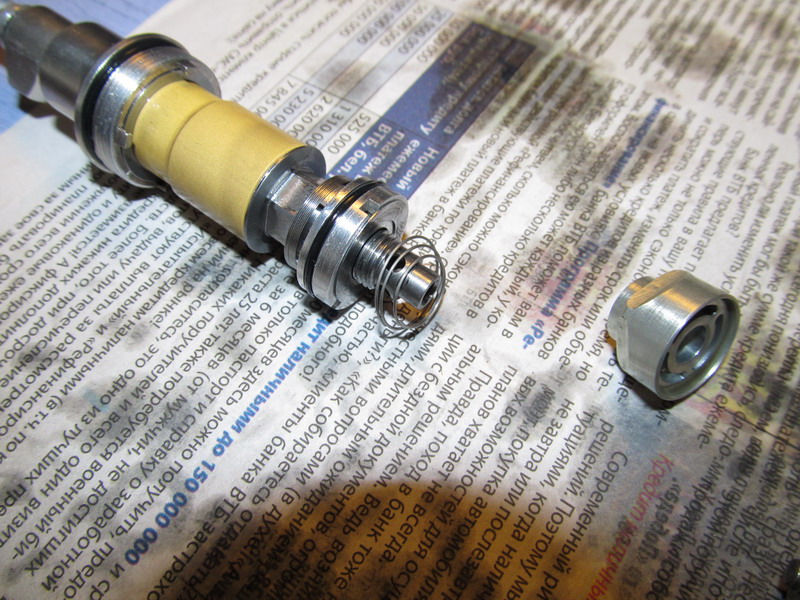 Fox_F100X_brain_6.JPG