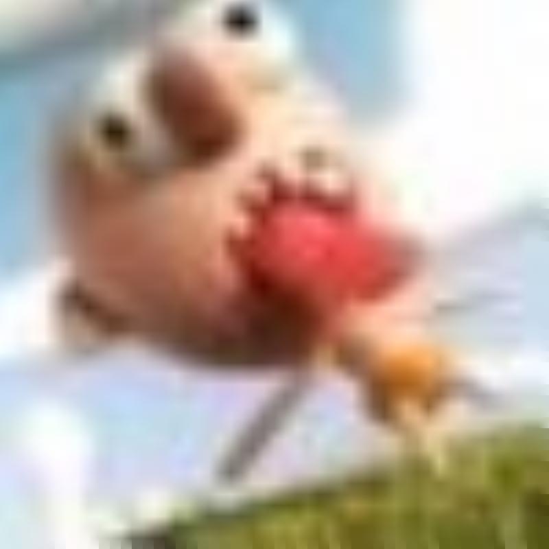 Wyid